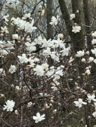 d119200c-e7dd-4d01-b198-513965f48fa4