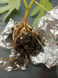 e0913cd3-a193-48b9-a794-552c5c9208b0