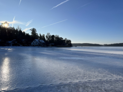 bd28b0c1-2e0d-424b-bf79-56b3afe5b0c8