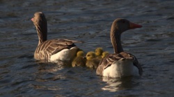 6997e26a-28ca-4b3f-9266-1e6c719be7ed