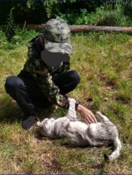 dcc95239-b97a-4906-a14a-e05d0861ed55