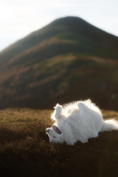 a527edcc-d348-46f3-82da-353d41df6647