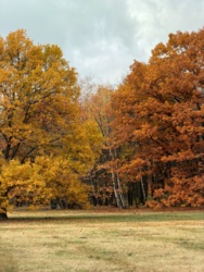 65659626-a4da-4195-b953-7b82f61622bc