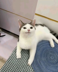 cd7e2d18-cf75-419a-80ca-29d562991ed9