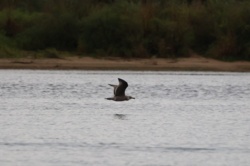 e1d97739-f9a0-4ee4-90e0-6b5801c1a2b9