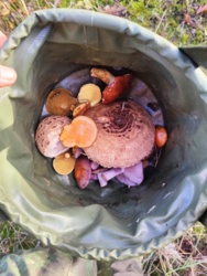 448e665d-ba66-4c28-b8ab-52c3d4081703