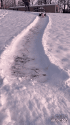 8530cd40-8e26-4d44-aff6-b577799debac