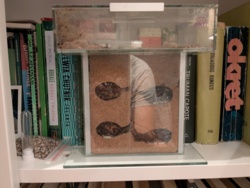 cba22337-bb47-4262-aaea-4e83b8cc3e30