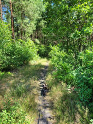 a74dd3e3-a4ef-4966-9771-3913cea50950