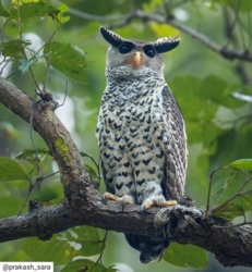 40183aa6-e2fb-46d1-8de3-5a68d294251a