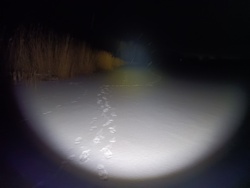 68154c9b-1f6d-416b-9260-7e724101032b