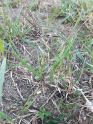 4ec38d98-ce77-4109-910b-f4bf31a123bf