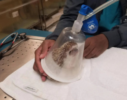 45cbd38b-a0da-4f97-95df-e723a66e0df0