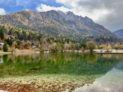 b82a283e-d065-4921-b4ff-a1cafc0e5500