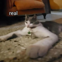 af5c9c70-06ee-43e8-b344-42688e9fcd2d