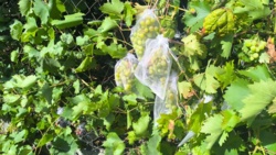 6852ef28-ed39-4826-afa7-7f9362bab171