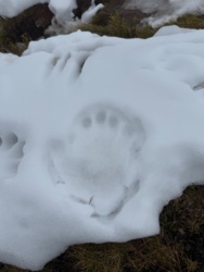 87335972-07fc-4ba1-b970-7cc158b5feb8