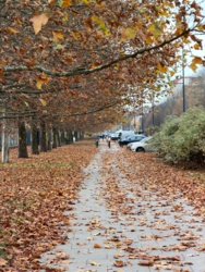 fa793f64-5719-45f3-9353-12c40e814a47