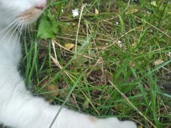 7d97a486-8181-4f51-a7e6-f7be9ab0fa64