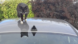 512c10b0-3c47-483b-8b64-fdcec4eafa94