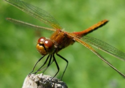 3417b52f-635d-4a9b-95a5-2798a37df3ff