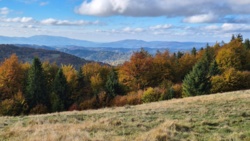 adb2a280-191e-45cc-9932-dc71a810eb1f