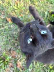 892293f7-5864-4979-855e-cdf50f46af68