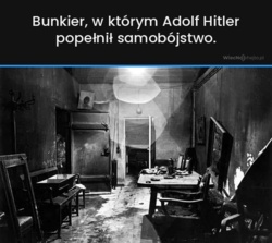 2951a807-dd40-43bf-91ae-da4f367bf4c1