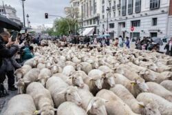 20e490a0-2f14-4924-8d69-6ffc1031d4f3