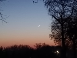 ea2e9861-ecba-4d86-a189-05a814bef927