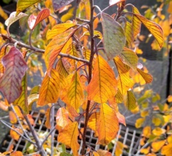 3d334437-44cc-4b69-a4a2-24c67d3cc84d