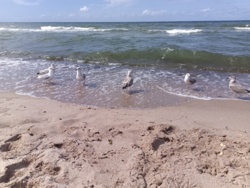 bc48dcd7-6432-4b66-9f1f-4958a94b5c91