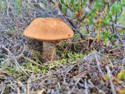 b3e09a61-db5c-4d06-a111-ec19f195ae36