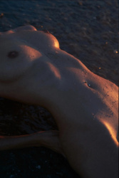 0f1df829-7039-421e-9251-387741b4c42c