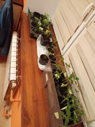 d160eaf7-9351-43ff-96a6-dd957c526a26