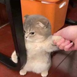 189fbb8c-da75-4f3b-a43f-d1363c12a98c