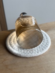 54fca5f2-bcf8-4f33-a697-d1b43cf44ab0