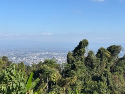 8a086024-d754-45f8-9a11-3aa6b937c9df