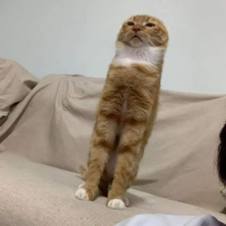 5dfd9202-b0c4-42cf-b64a-cc12584c08ff