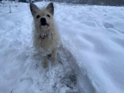 b42d896d-8080-4867-8cd1-23c76914ab42