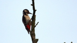 0267f6f5-ea16-49b1-8252-85b71b19d98f