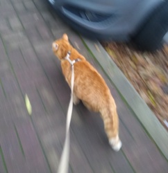 3f96f27d-de05-4e9a-9c22-ba2d83578da4