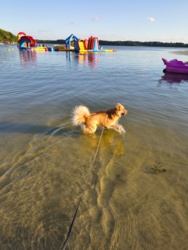 23e71f4a-4bb7-4d28-b1cf-a3b4b4bdf194