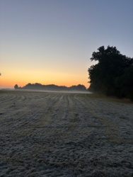 c31ceeae-d3d9-4be8-9b89-fc20f02b37e4