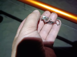 27facd9b-223a-47c2-bbc4-1426a4ec8da5