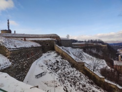 bd16cc47-e7f2-42f1-9532-470f80cc362d