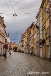 09aba493-a62d-4789-b83b-f74326676bf5