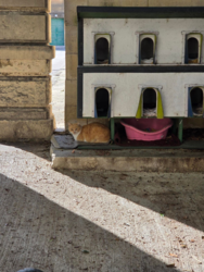 95718724-9ac4-451b-a5a3-a4c17e128cbf