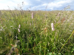 d872d411-67d9-480c-a344-33065248f30f