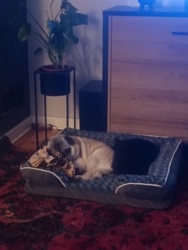 e191c986-6173-4c95-900c-e6bf3b9252a3